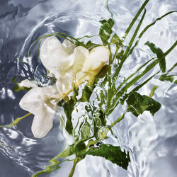 Guerlain - Aqua Allegoria Herba Fresca - Eau de toilette